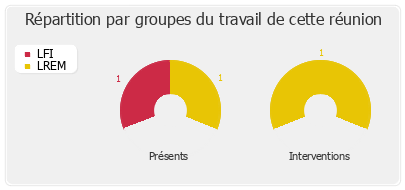 Répartition par groupes du travail de cette réunion